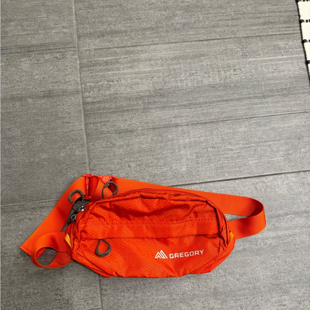 Brand New Gregory Nano Hipbelt Fanny